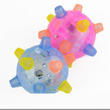 Flashing Dog Ball For Games Kids Ball Led Pets Toys Jumping Joggle Crazy Football Children's Funny Colored dog toy