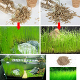 NEW Plant Grass Aquarium Fish Tank Plants Prospects Grass Seeding Grass Landscaping Plant Decoration DROP SHIPPING