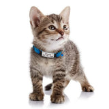 Nylon Cat Collar Personalized Pet Collars With Name ID Tag Reflective Chihuahua Kitten Collars Necklace For Pets Dog Accessories