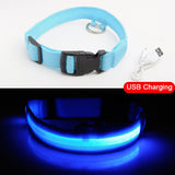 USB Charging Led Pet Anti-Lost Collar