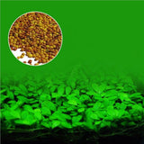 Nicrew Aquarium Plants Seeds Water Aquatic Water Grass Live Plant Fish Tank Decoration Landscape Ornament decor for fish tank