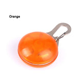 Pet Night Safety LED Collar Leads Lights Glowing Pendant