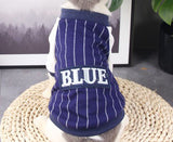 Cat clothes Cat jacket