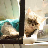 Window Sunny Seat Bed Pet Cat Hammock Washable Double Layer Hanging Bed LOT G%