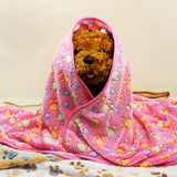 Pet Paw Print Bone Cat Dog Puppy Hamster Soft Blanket Bed Cushion Coral Cashmere